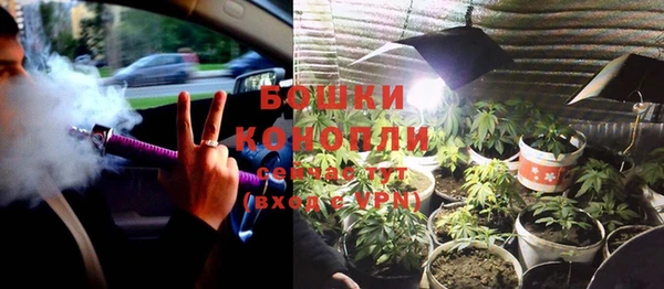 бошки Нея