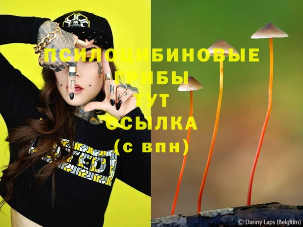 винт Нефтегорск