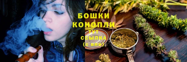 бошки Нея